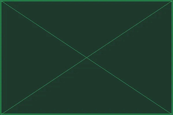 每日签到奖励展示 - 赏金女王